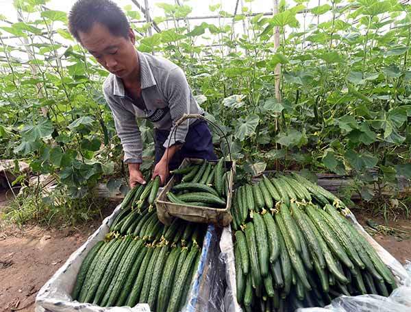 420գӱʡֳҵũרҵũ²ժĻƹװ䡣