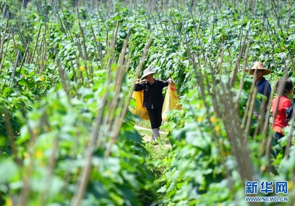 426գμܴ嶴²ժɽƹϡ