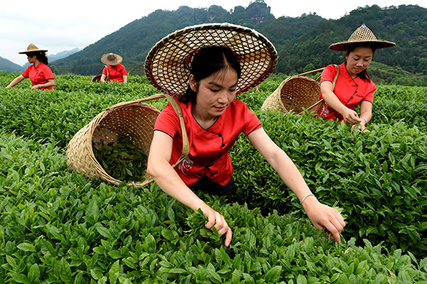 426գɽҵ޹˾ũڲ԰ɲ衣