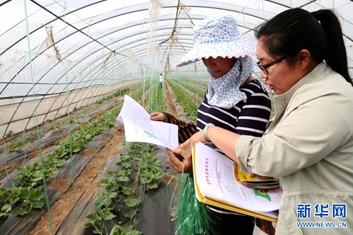 ���ϱ��᣺������������