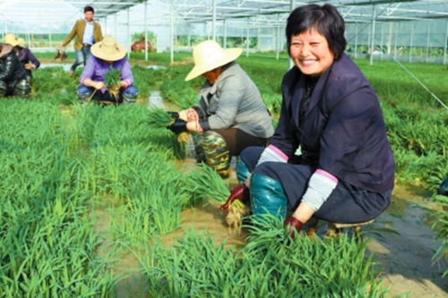 ���Ϲ�ɽ����ˮ������æ