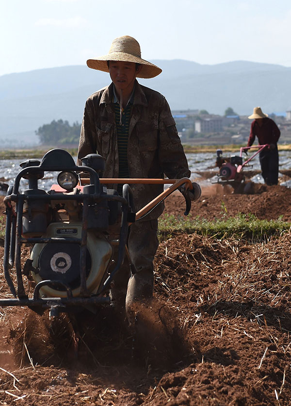 426գݳشũʹũûеء