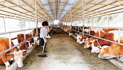 Ͳţרҵţ෢ һֵ20