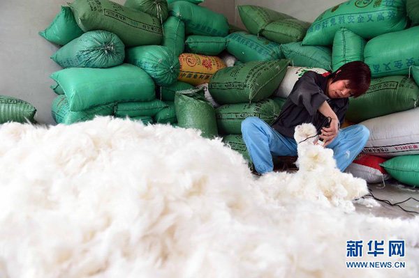 427գش󻪳ëֳԱڼë