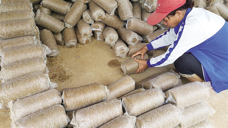 ϣƼɹתΪöũҵµ¸· ǣũ ʳþ