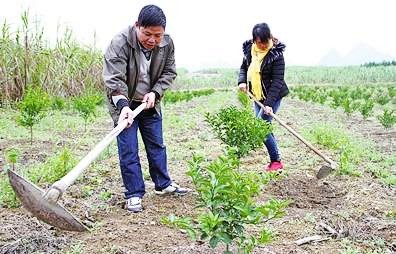 ���������˱����Ż�������ҵ�ṹ��չ��ɫˮ����ҵ