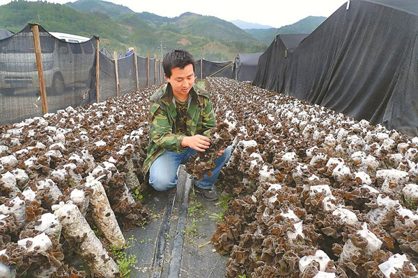 �Ĵ���Ԫ��ʮ�󡰹��ֺš���������̬�ന��