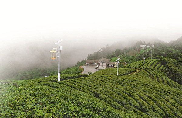 �ന�ع����л�����������