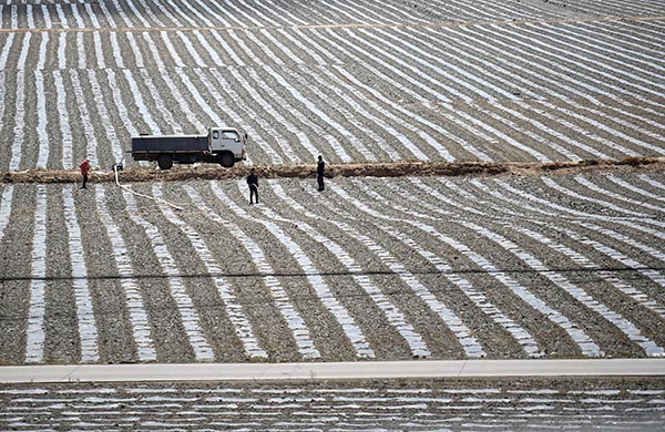 宁夏中卫市戈壁旱塬变身瓜海宝地