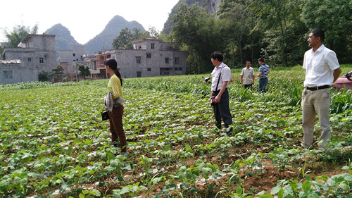 ũҵּԱʢ鿴ֻƶơ溦