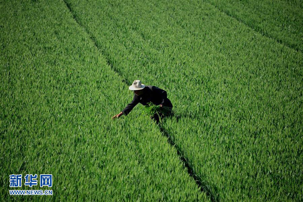 54գɽʡĳƽؼկ򹢴ׯũӲݡ