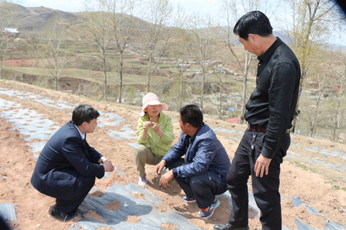青海湟中县:农户求助讨技术 热线专家送下乡