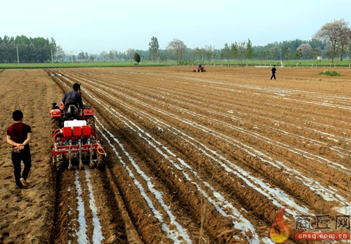 河南商丘:春耕春管忙