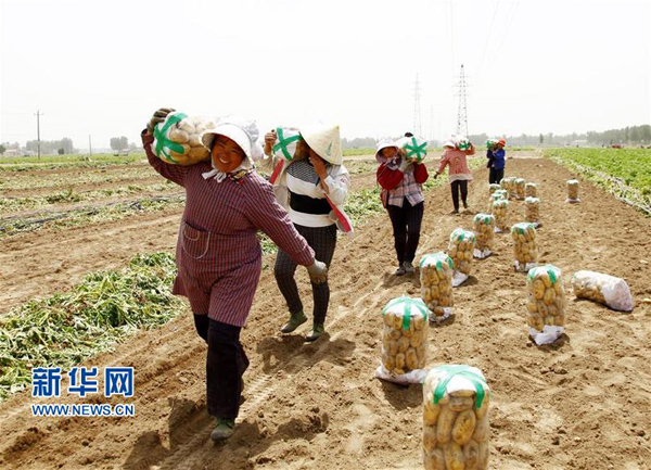 56գɽׯнׯũǰװ˸ջĴ