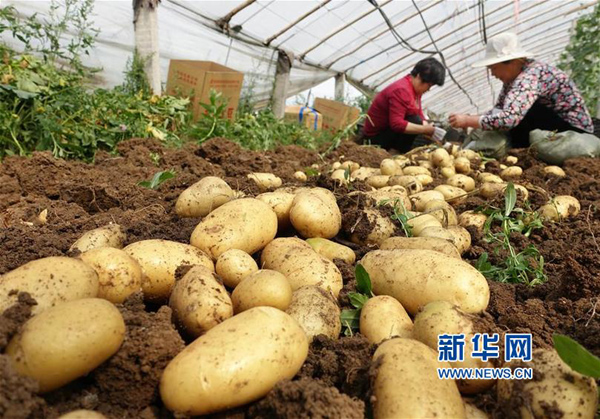 56գɽׯɽͤͷũջ񴺼