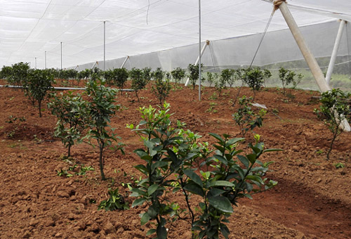 �������ǣ��ڻ������߷�����չ��ʩ�̽�