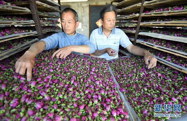 ��������ǧĶõ�忪԰����