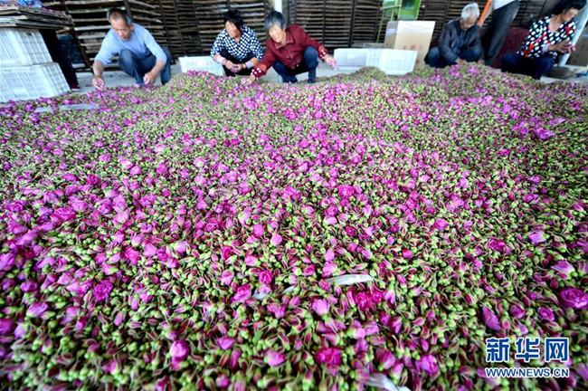 ��������ǧĶõ�忪԰����