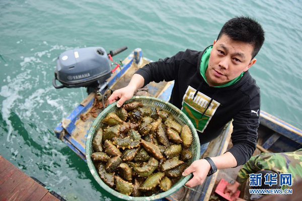 59գɽʡ̨гرɽӳɰ˸ոջĺΡ