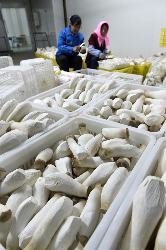 سܫҵ԰ڣũӱɸѡװ׼56㣩