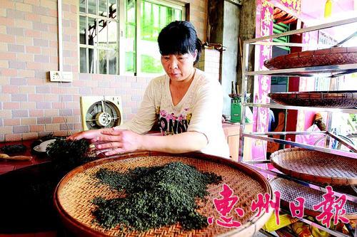 㶫ݲް߳һһҵһƷƶ¸·