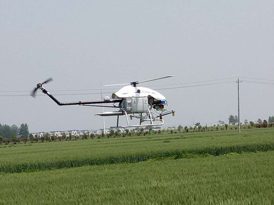 շأũ¾ս춷 С쿪ʤ