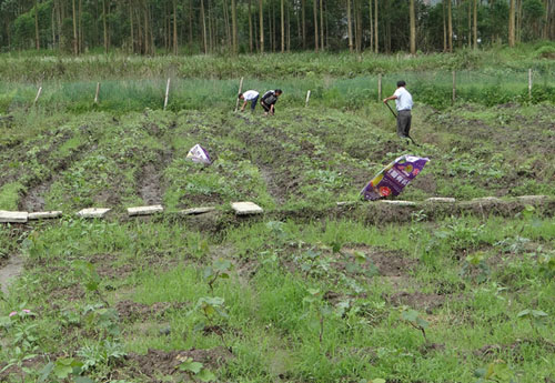 ��������ƽ��������������ũæ