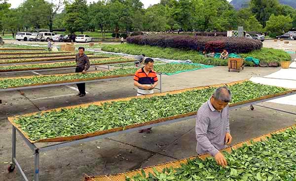 510գɽĴչήʽҲ衣