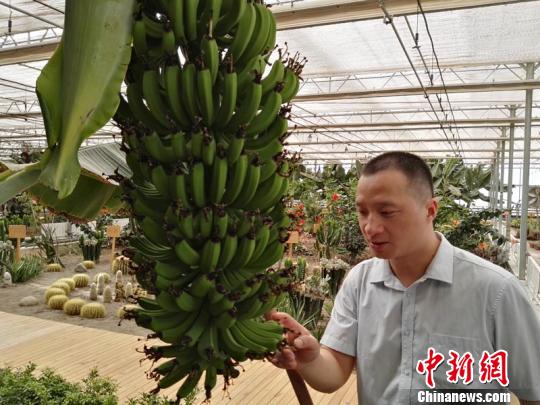 ½ϲ߾Сǰش漣ڸֳ̲㽶