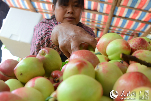 512գڹػ壬ũæŴʵӡ