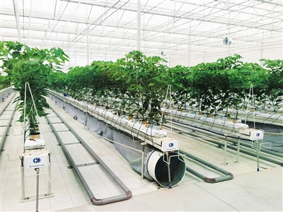 ˮִũҵʾ ǻֲ﹤ġؼ