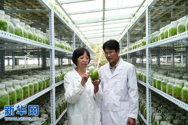 515գμʦɰ뼼Աйҩ԰ҩĶ԰ټо