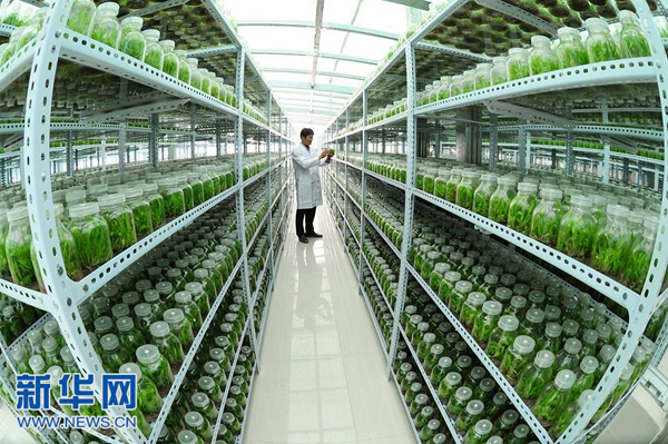 515գԱйҩ԰ҩҩ䣬ϡΣҩĽ׼ɽʯ硣