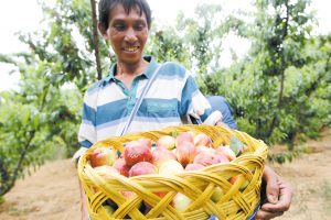 ʯˮȫиԭɫũҵʾ ˮ5