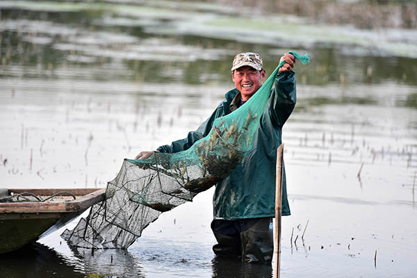 安徽全椒县:小龙虾助力农民致富