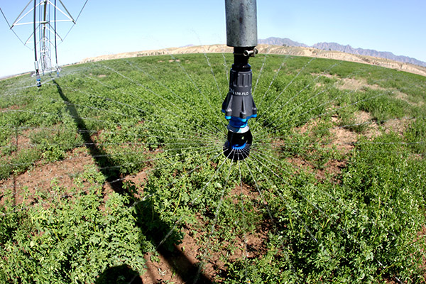 �ӱ���ԭ����չѭ������ ɳ̲��ɽ�䡰���ޡ�