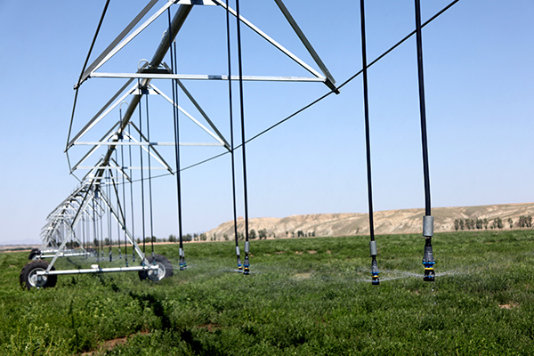 5��16�գ���������豸�ںӱ�ʡ��ԭ�ؾ������崴��ũҵ԰����ޣ������ҵ��