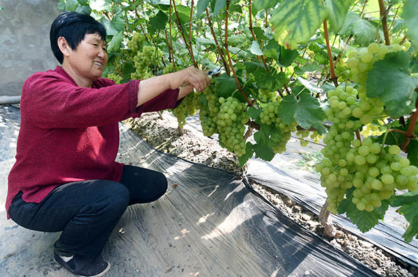 517գӱس«ֲڲժѡ