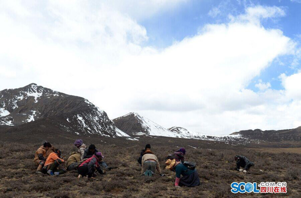 ں5000׵°ƬɫɽϣȺϸѰҳݡ