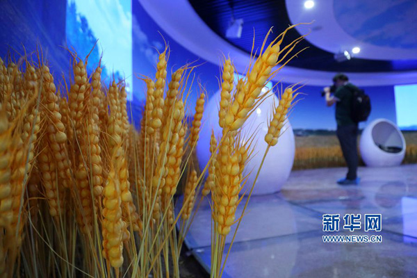 517գһλýλںʡصС㡣