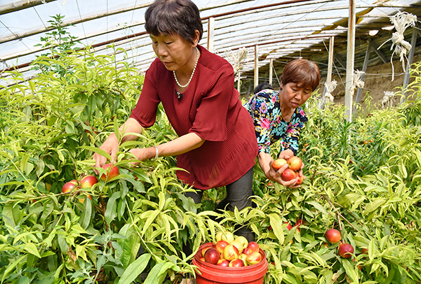 518գӱʡӼжʮ̴ũڲժҡ