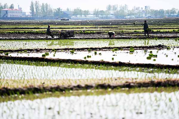 517գλںʡ峣ɽﵾлˮأֲڽ˹