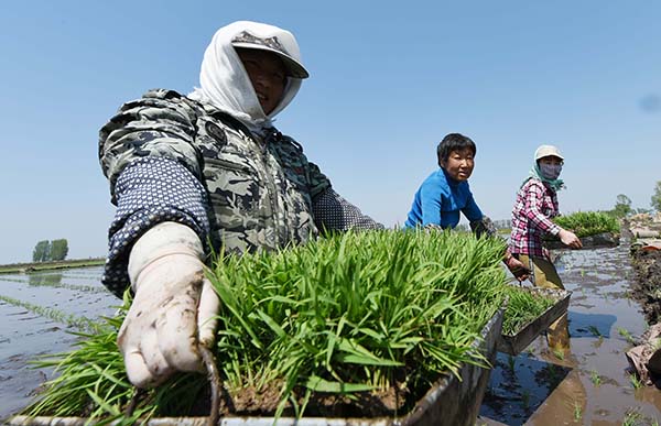 517գλںʡ峣ɽﵾлˮأֲ׼˹