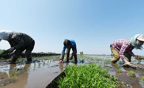 517գλںʡ峣ɽﵾлˮأֲڽ˹