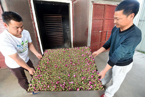 518գİׯӴ廨ũ˺濾ɸӣ׼濾õ廨衣