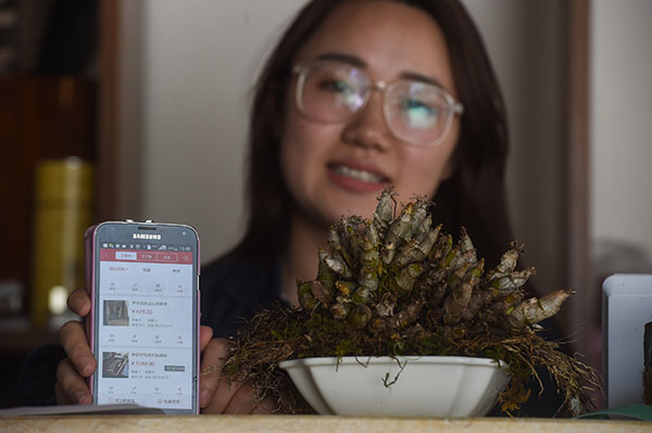 517գֲ̬רҵĹԱչʾƤʯ΢΢ꡣ