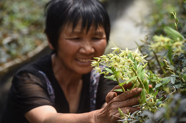 517գسڵһ̺۵Ƥʯֲڸʯݡ67ĺƶǰֲʯ˳ƶ