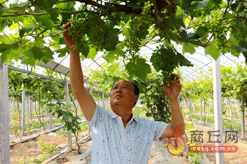 ������Ȩ���أ���ɫ��ֲ����Ӧ��