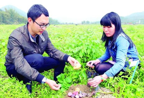 㶫ƽ򾶿ڴֳ߲ ΢Ԫطḻ