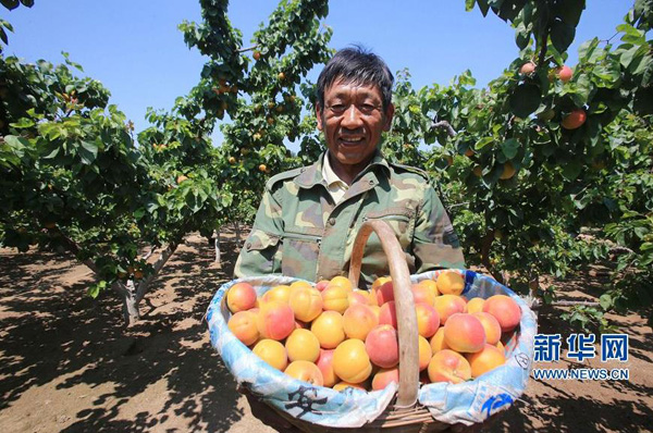 522գгһ廯ʾӻӪũϲõժӹ׼ۡ